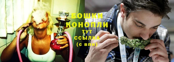 хмурый Нея